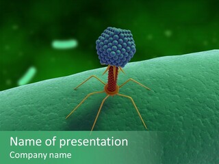 Bacteria Medical Sem PowerPoint Template