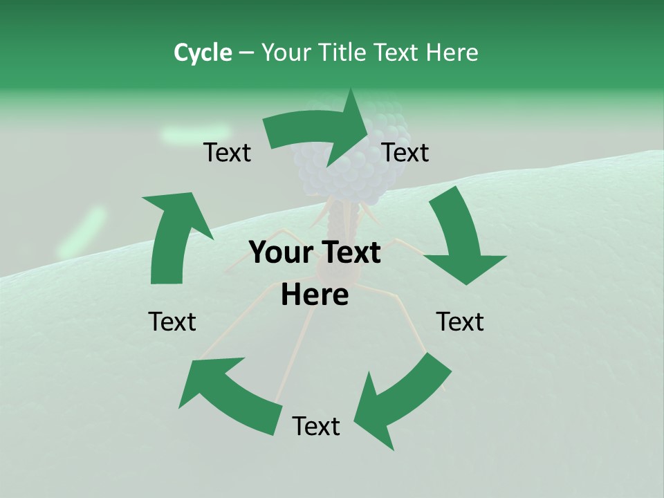 Bacteria Medical Sem PowerPoint Template