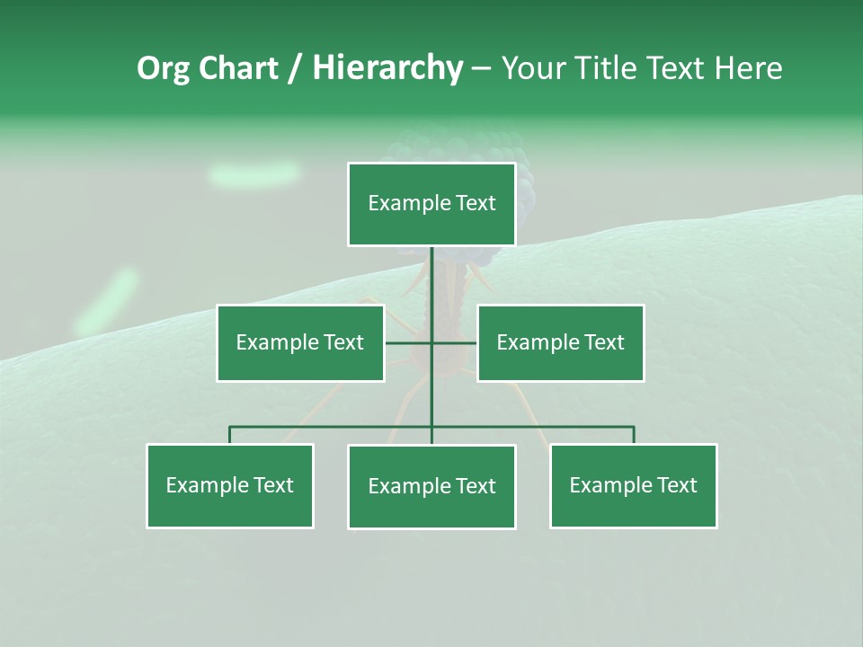 Bacteria Medical Sem PowerPoint Template