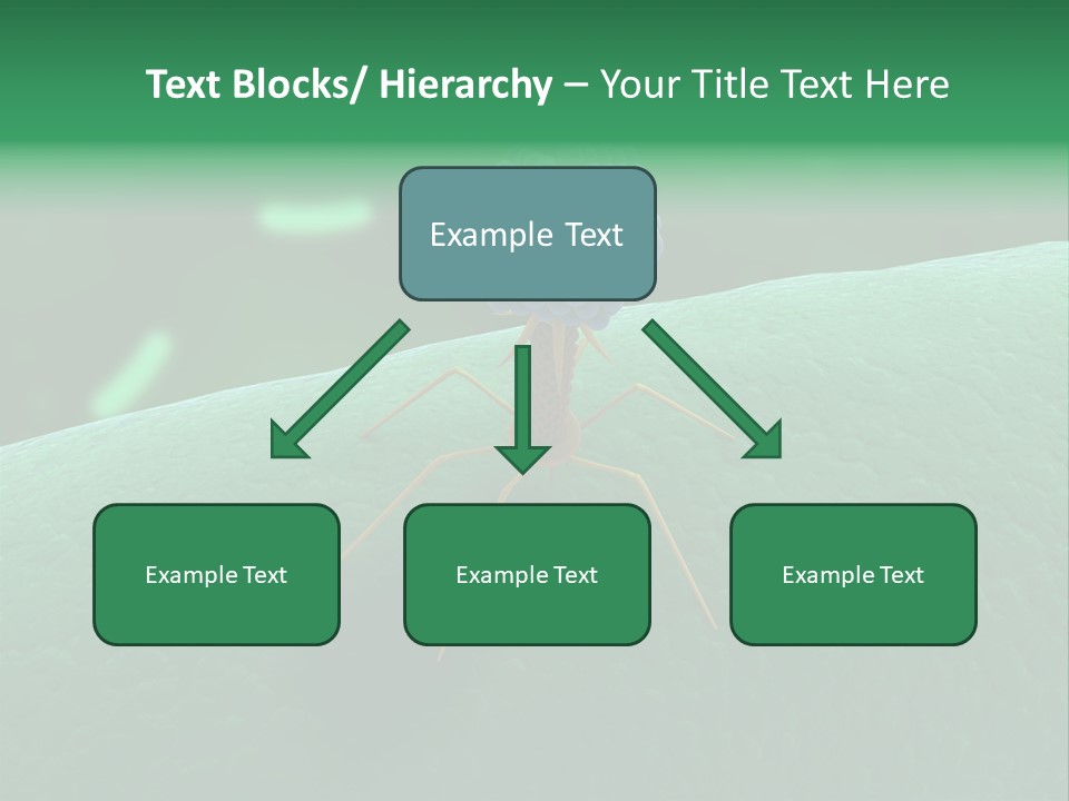 Bacteria Medical Sem PowerPoint Template