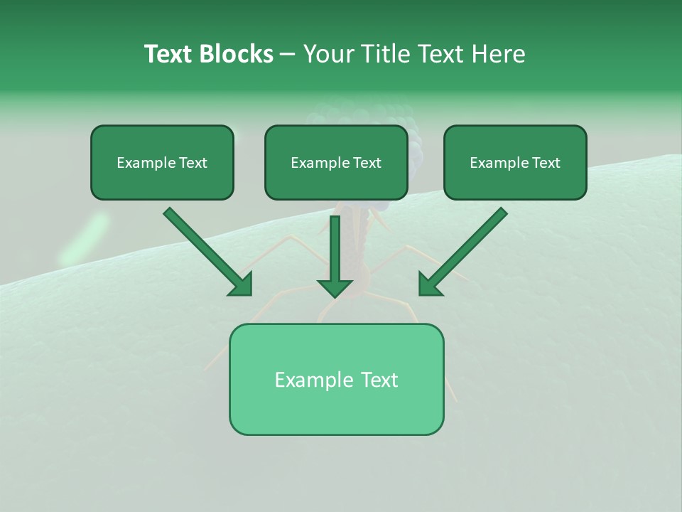 Bacteria Medical Sem PowerPoint Template