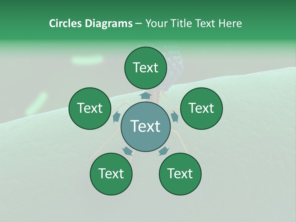 Bacteria Medical Sem PowerPoint Template