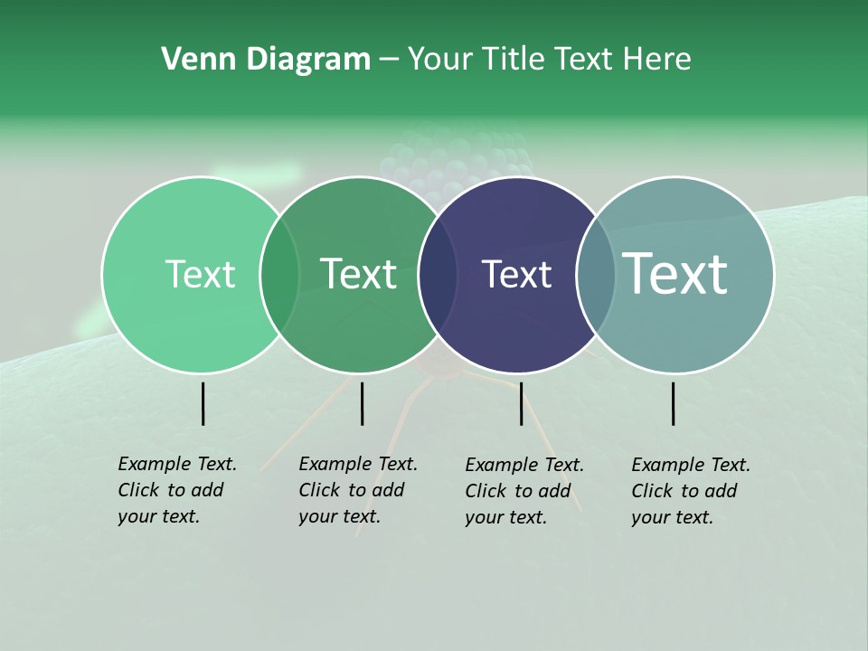 Bacteria Medical Sem PowerPoint Template