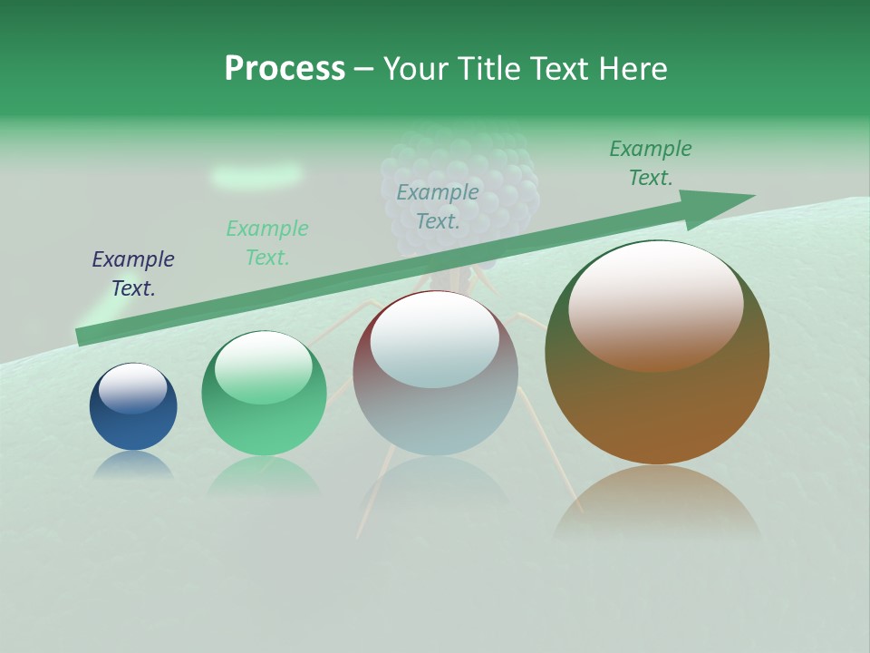 Bacteria Medical Sem PowerPoint Template