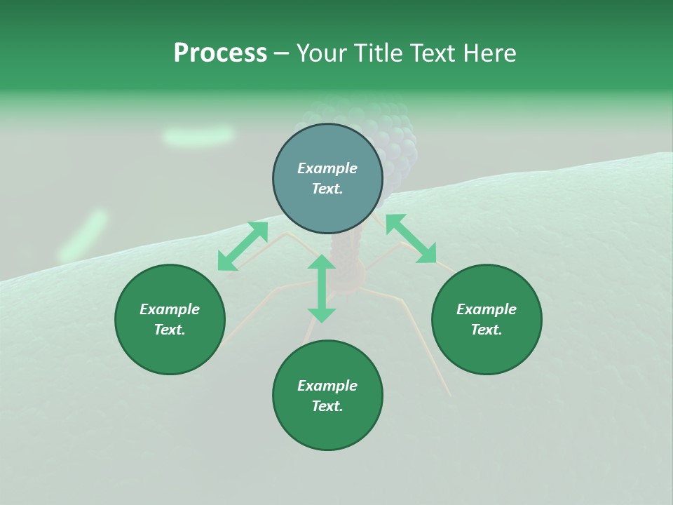 Bacteria Medical Sem PowerPoint Template