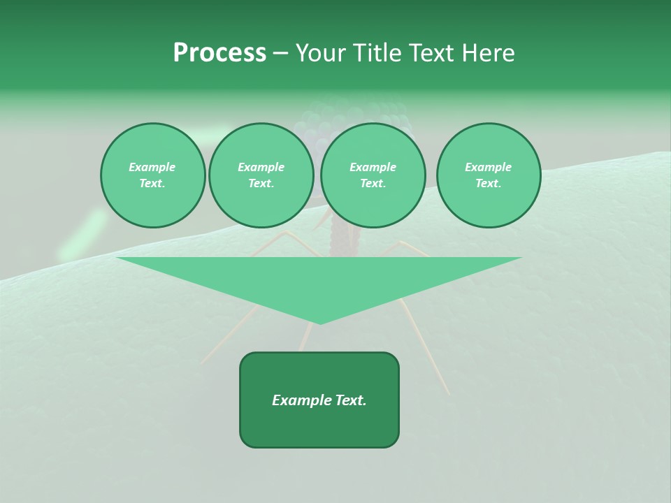 Bacteria Medical Sem PowerPoint Template