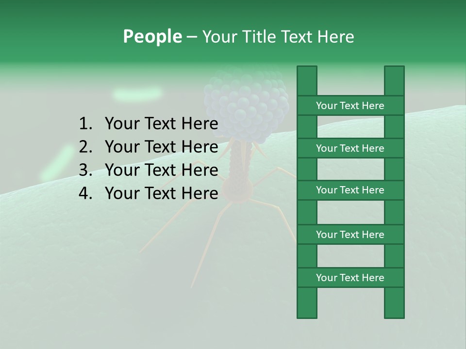 Bacteria Medical Sem PowerPoint Template