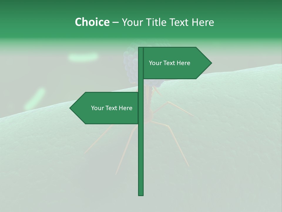 Bacteria Medical Sem PowerPoint Template