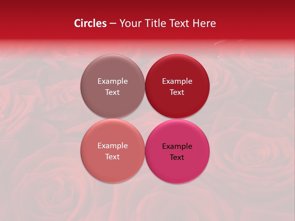 A Bunch Of Red Roses On A White Background PowerPoint Template