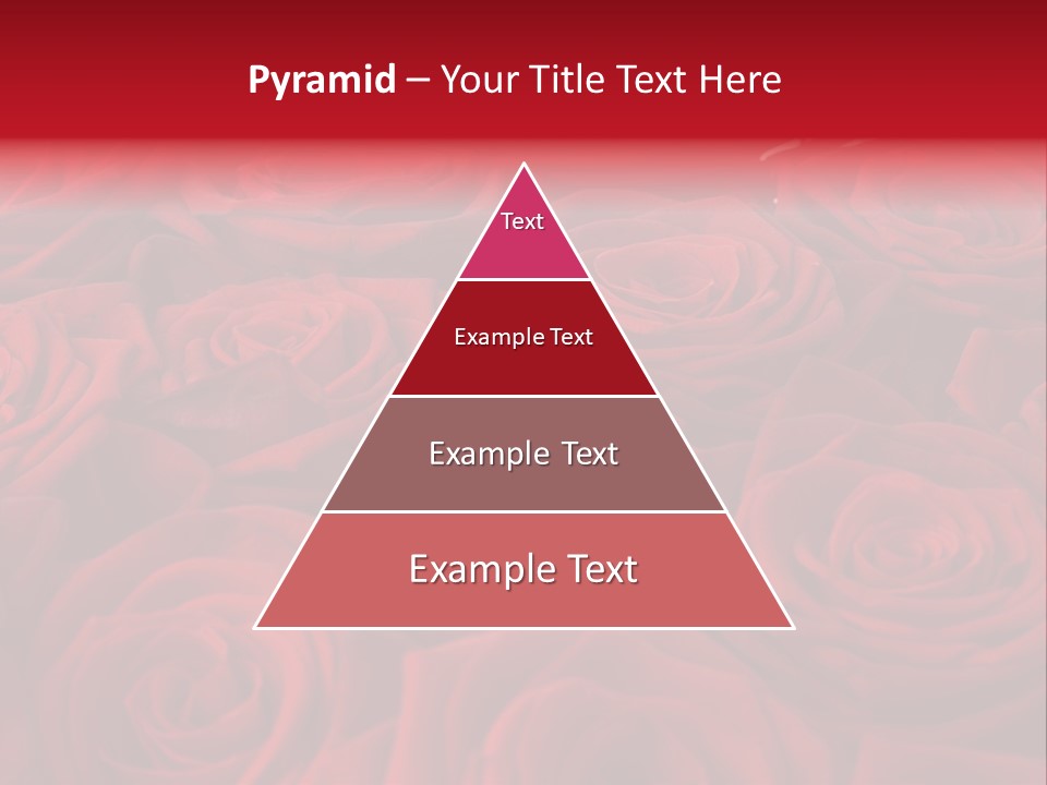 A Bunch Of Red Roses On A White Background PowerPoint Template