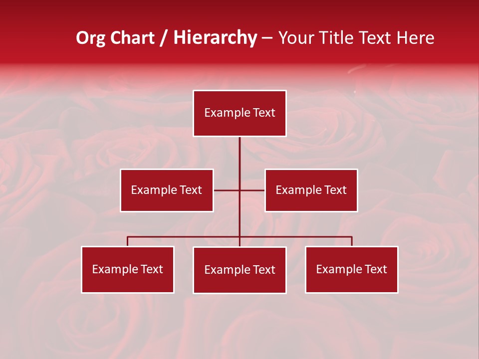 A Bunch Of Red Roses On A White Background PowerPoint Template