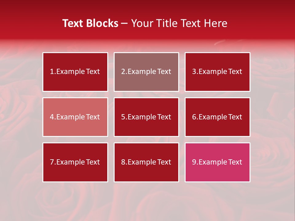 A Bunch Of Red Roses On A White Background PowerPoint Template