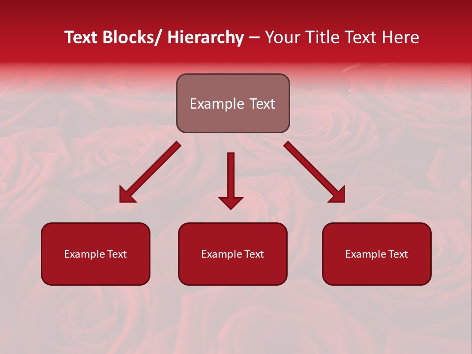 A Bunch Of Red Roses On A White Background PowerPoint Template