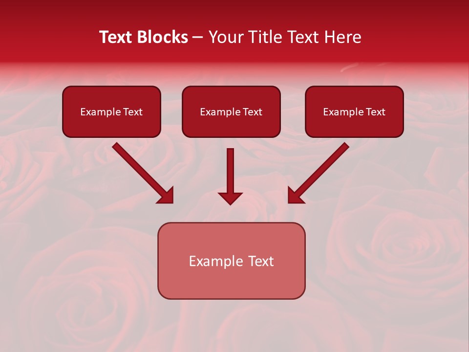 A Bunch Of Red Roses On A White Background PowerPoint Template