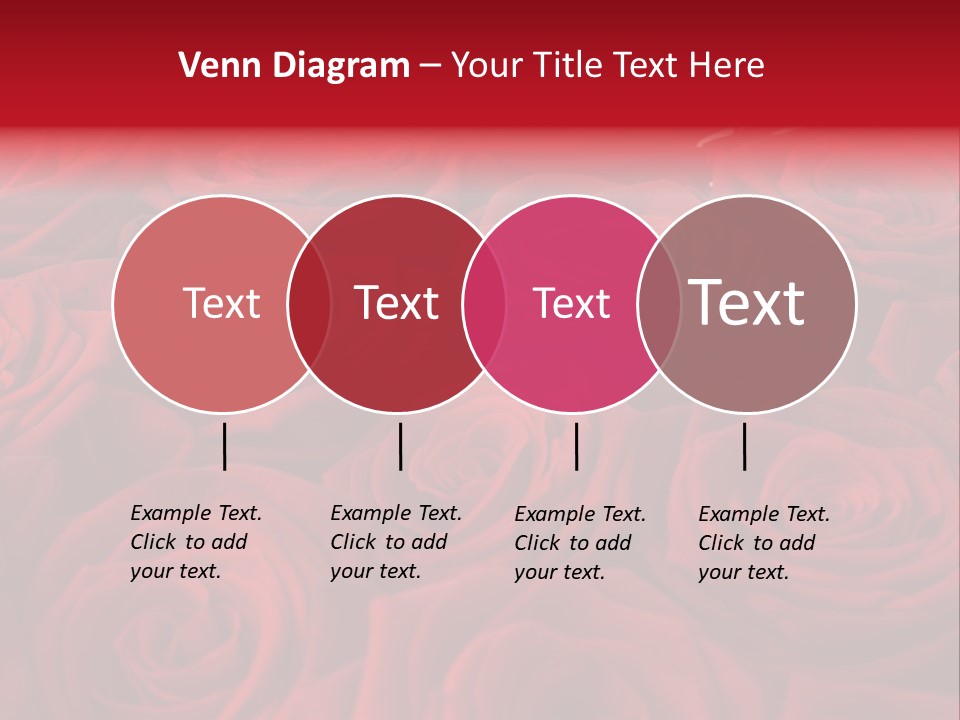 A Bunch Of Red Roses On A White Background PowerPoint Template
