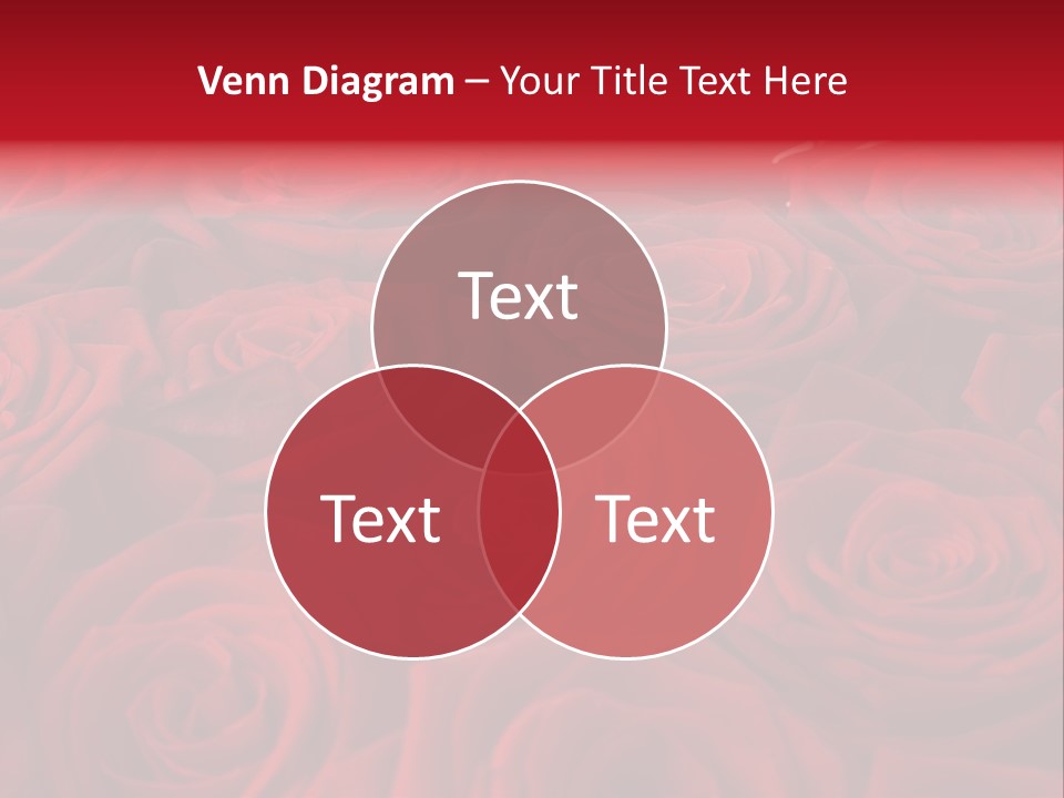 A Bunch Of Red Roses On A White Background PowerPoint Template