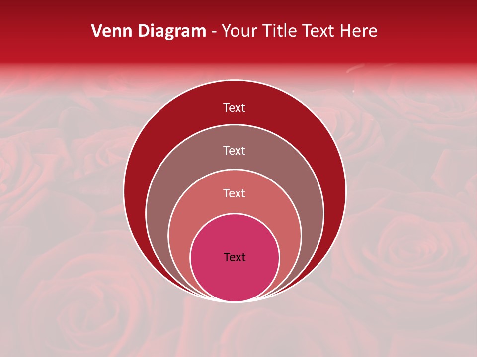 A Bunch Of Red Roses On A White Background PowerPoint Template