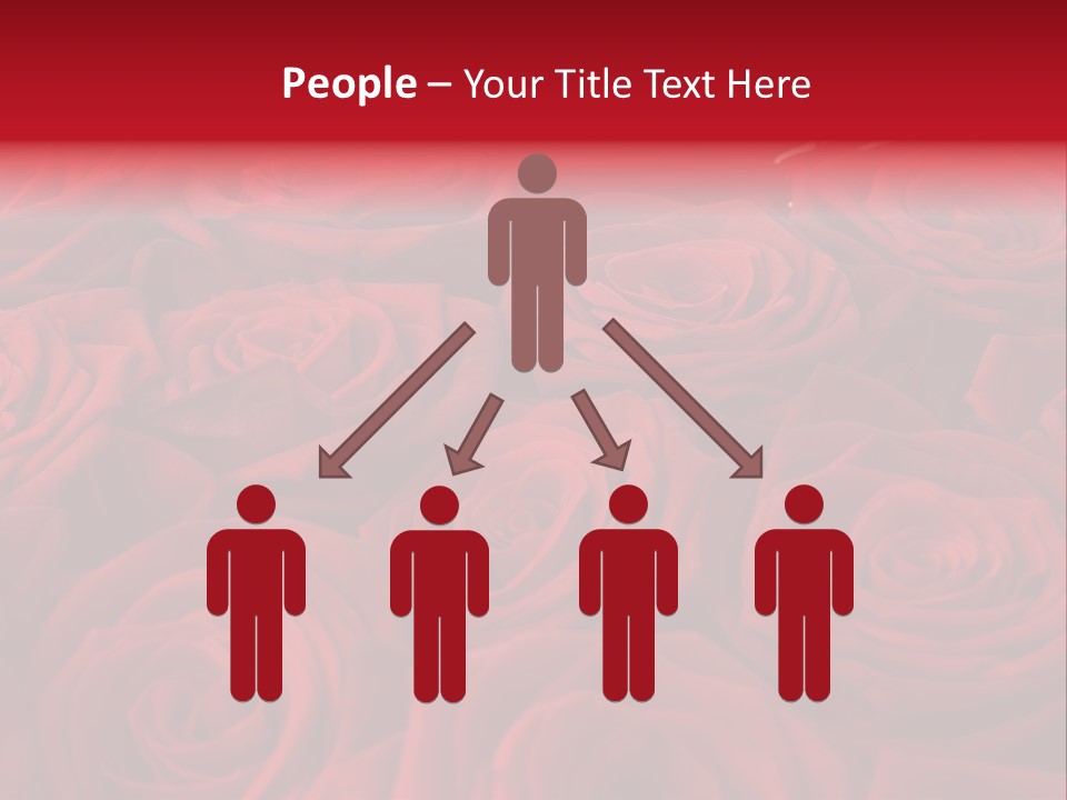 A Bunch Of Red Roses On A White Background PowerPoint Template