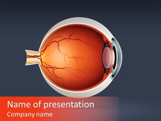 Healthcare Human Ophthalmic PowerPoint Template