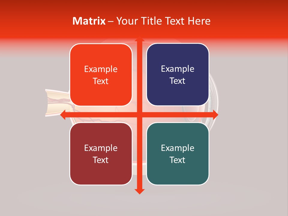Healthcare Human Ophthalmic PowerPoint Template