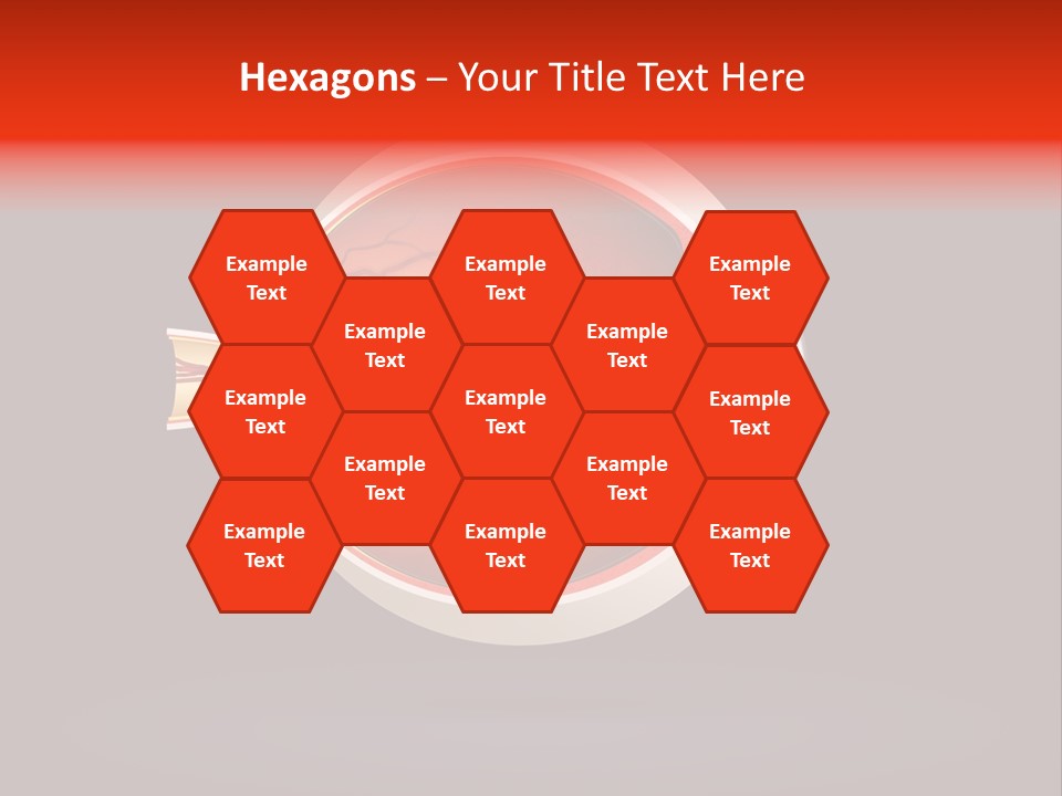 Healthcare Human Ophthalmic PowerPoint Template