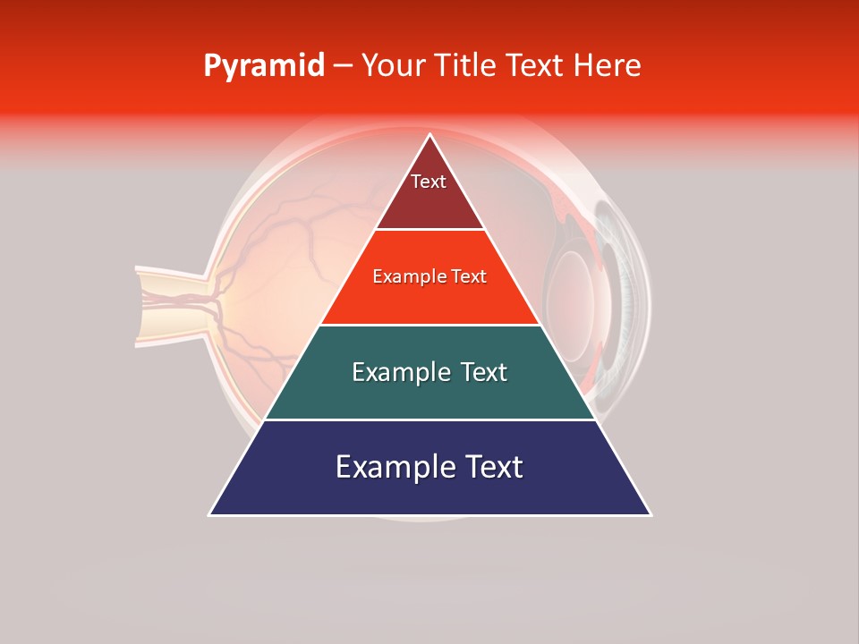 Healthcare Human Ophthalmic PowerPoint Template