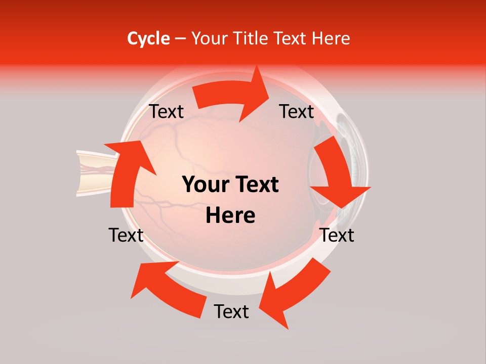 Healthcare Human Ophthalmic PowerPoint Template