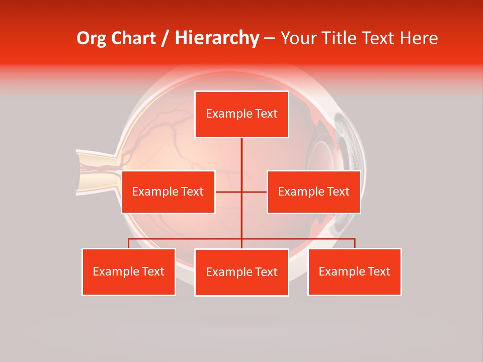 Healthcare Human Ophthalmic PowerPoint Template