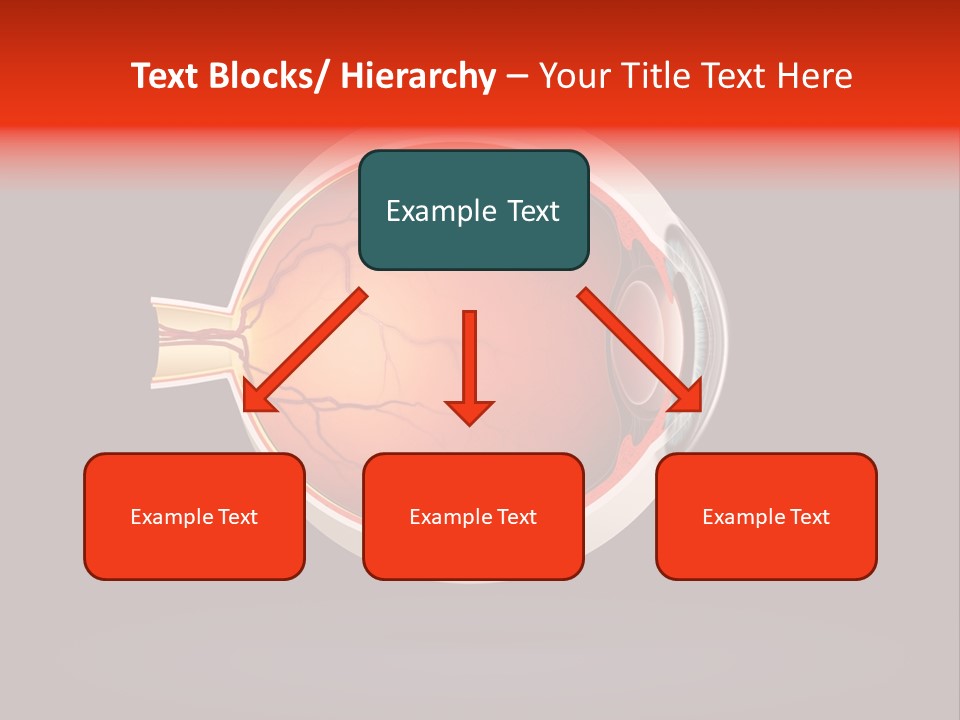 Healthcare Human Ophthalmic PowerPoint Template
