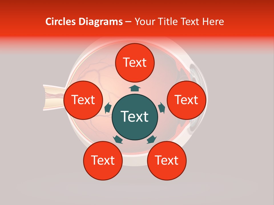 Healthcare Human Ophthalmic PowerPoint Template