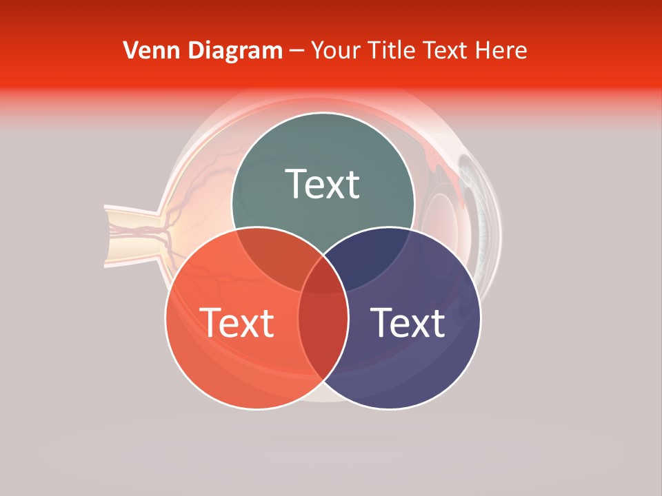 Healthcare Human Ophthalmic PowerPoint Template