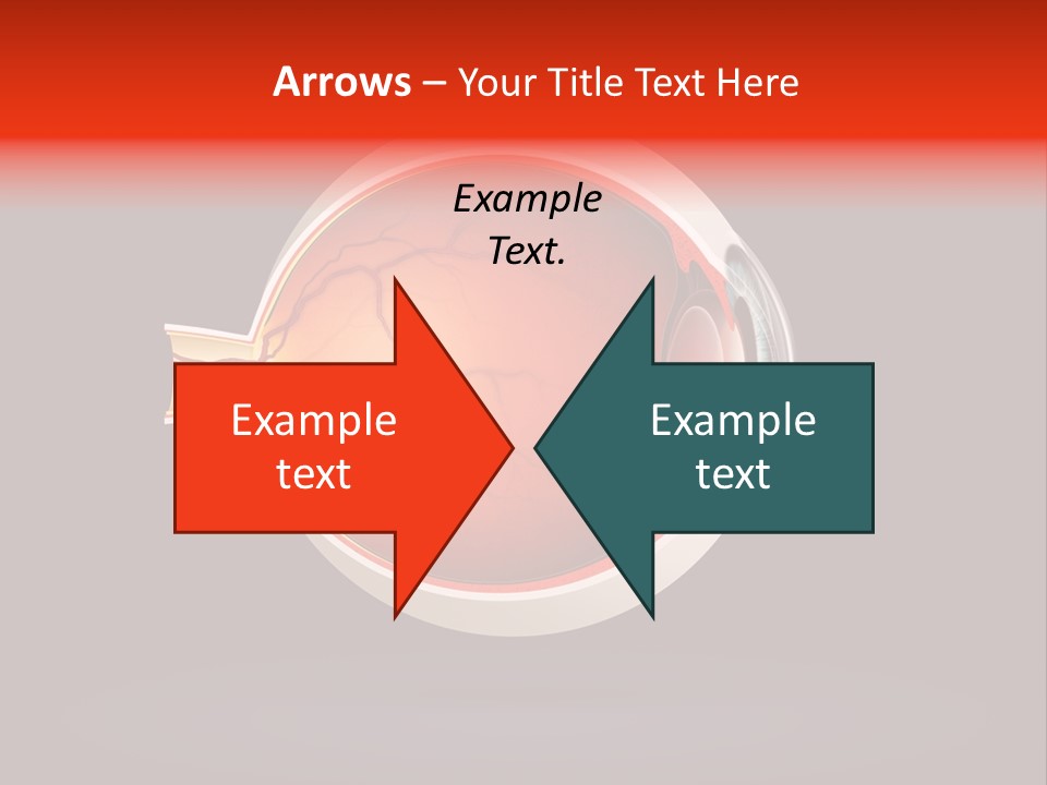 Healthcare Human Ophthalmic PowerPoint Template