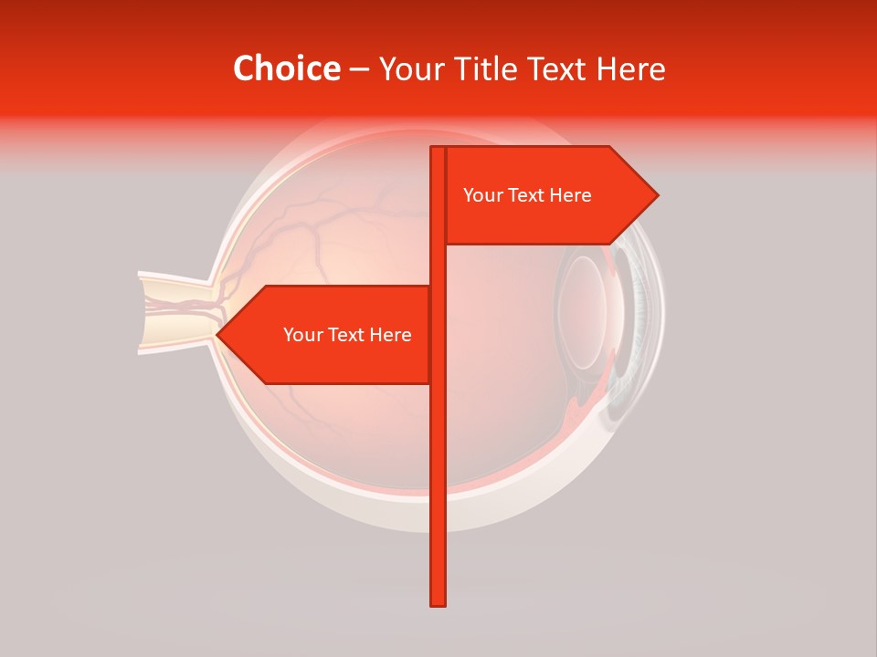 Healthcare Human Ophthalmic PowerPoint Template