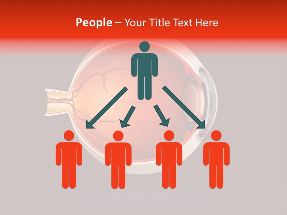 Healthcare Human Ophthalmic PowerPoint Template
