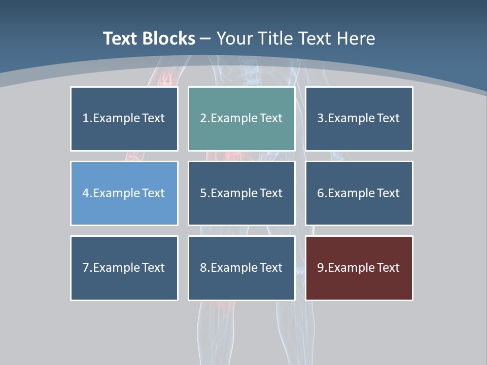 Skeleton Spine Osteoporosis PowerPoint Template