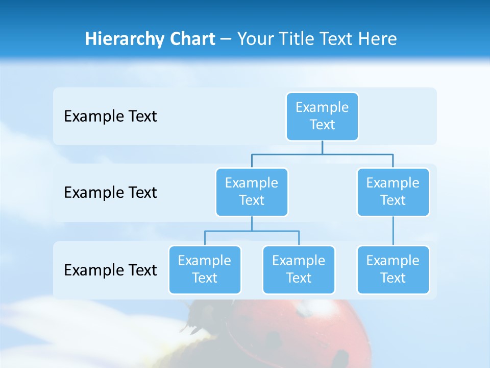 Environment Leaf Ladybug PowerPoint Template