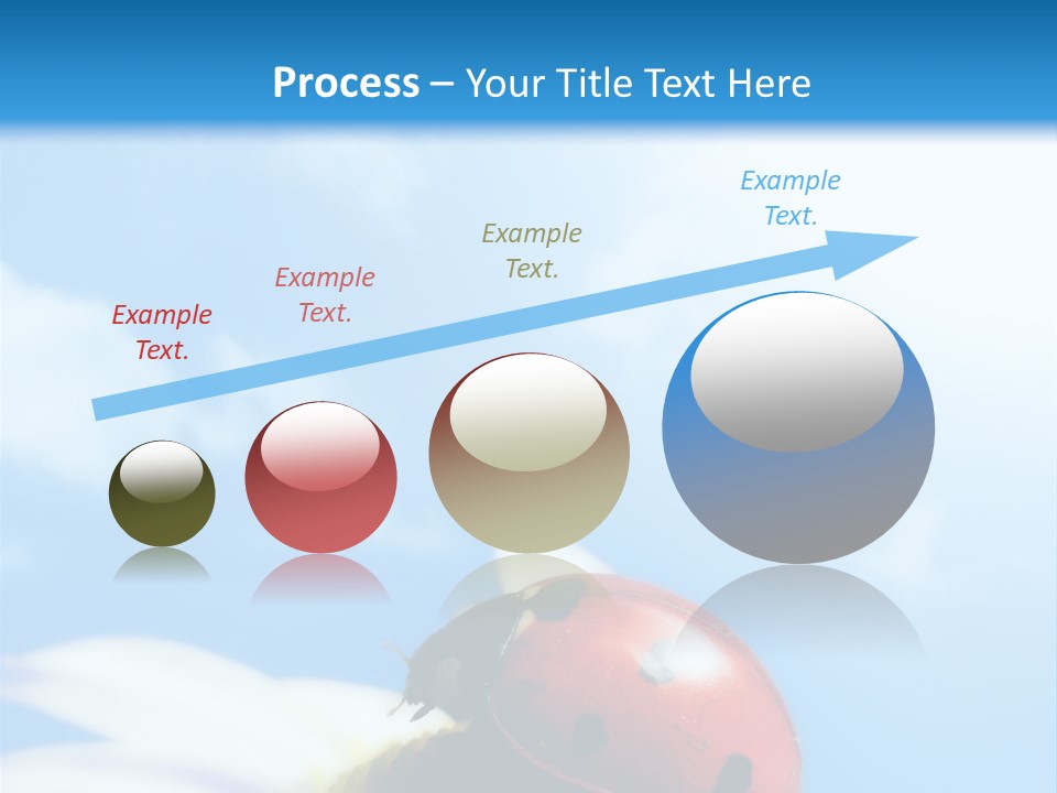 Environment Leaf Ladybug PowerPoint Template