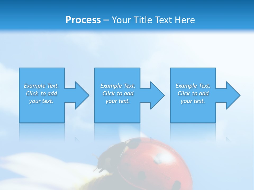 Environment Leaf Ladybug PowerPoint Template