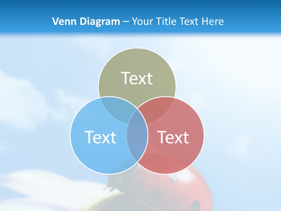 Environment Leaf Ladybug PowerPoint Template
