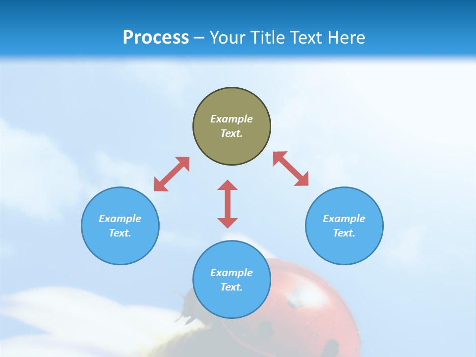 Environment Leaf Ladybug PowerPoint Template