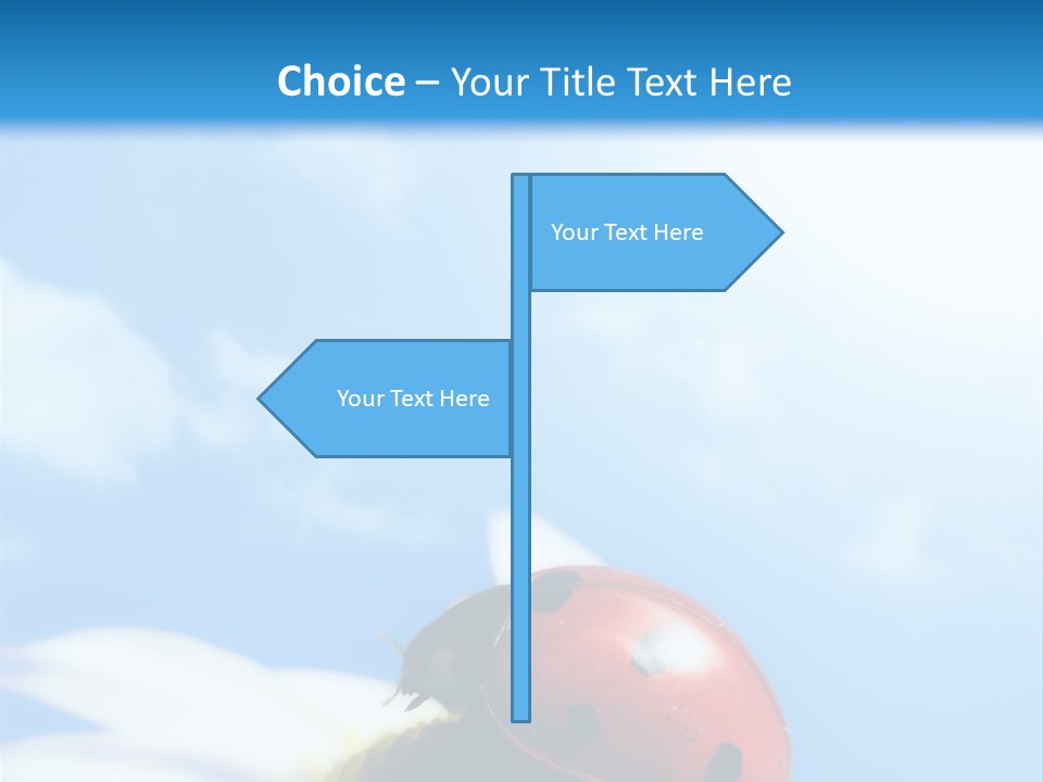 Environment Leaf Ladybug PowerPoint Template