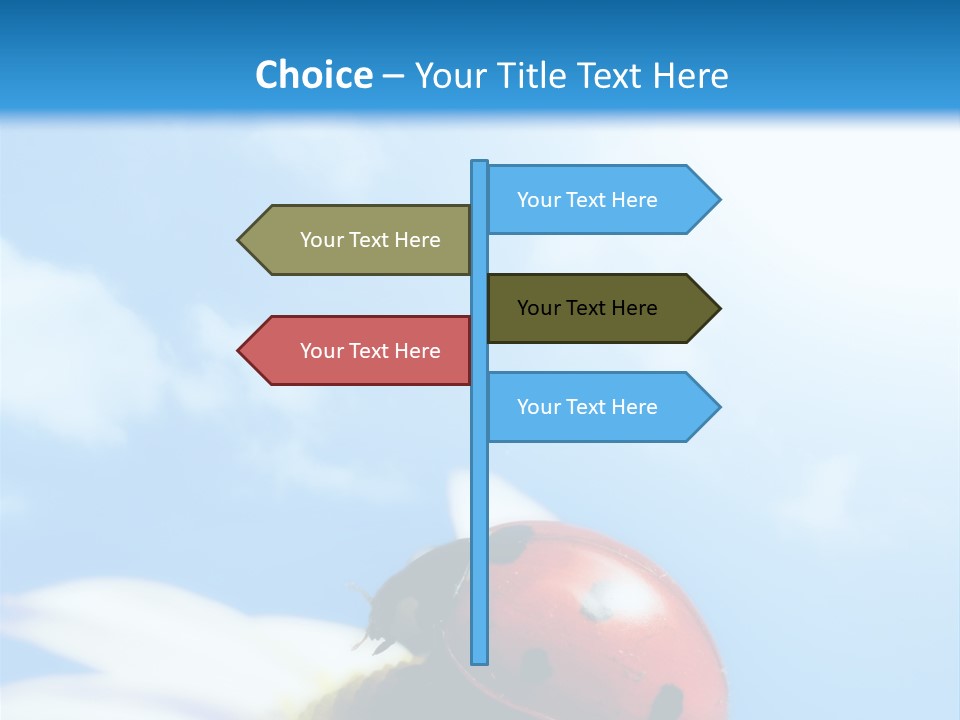 Environment Leaf Ladybug PowerPoint Template