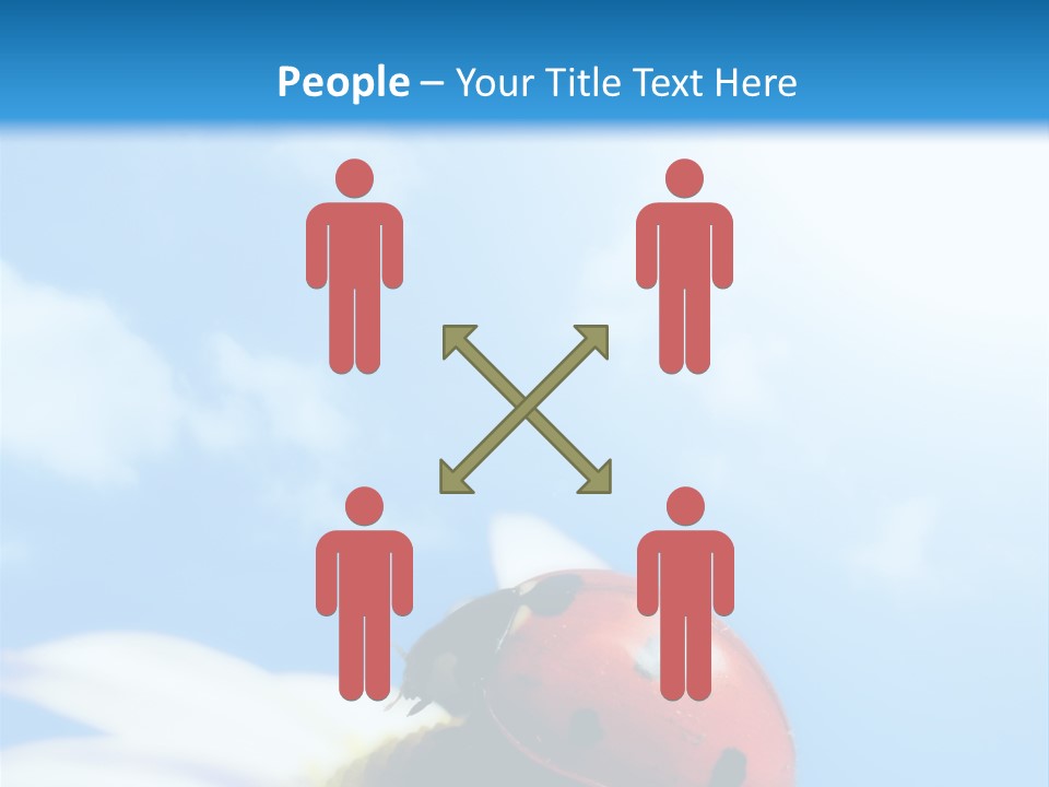 Environment Leaf Ladybug PowerPoint Template