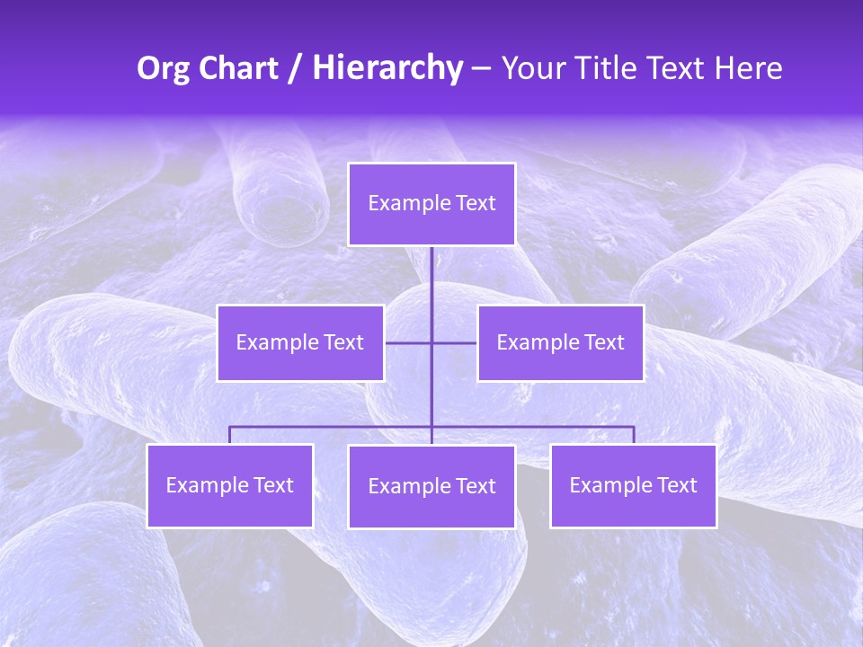 Illness Macro Ill PowerPoint Template