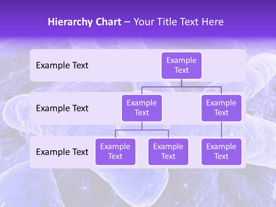 Illness Macro Ill PowerPoint Template