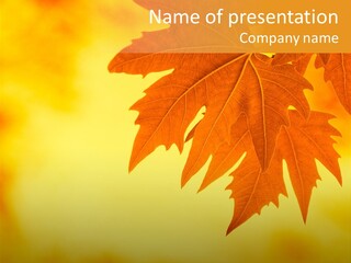 A Leaf Is Shown On A Yellow And Orange Background PowerPoint Template