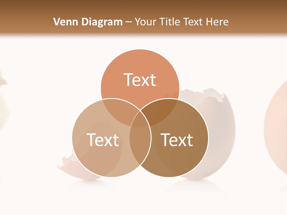 Pattern View Furry PowerPoint Template