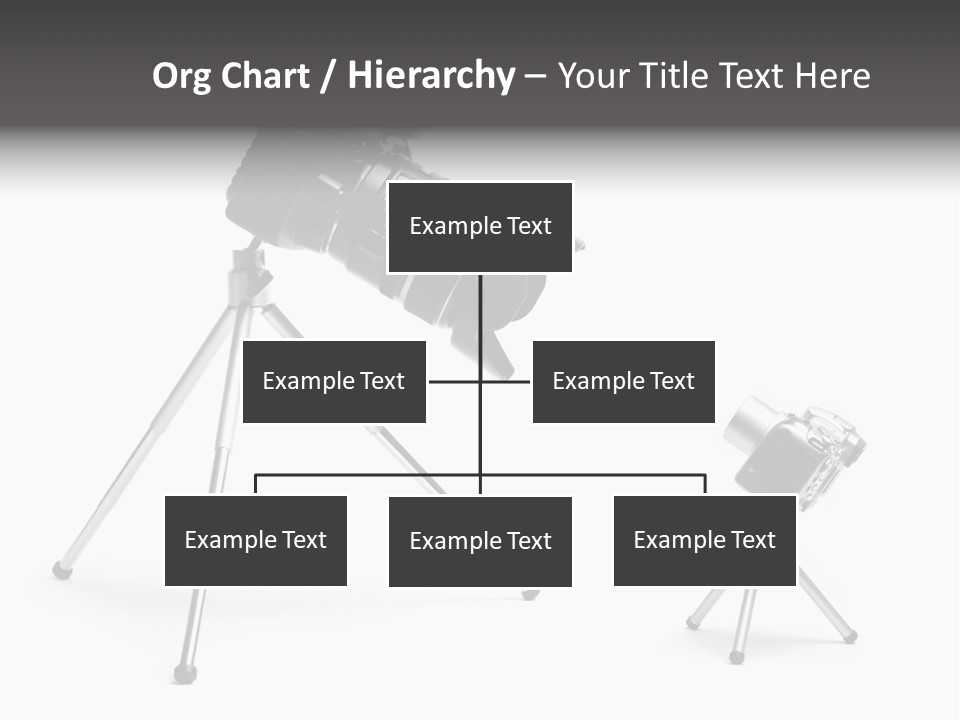 Holding Schoolkid Back PowerPoint Template
