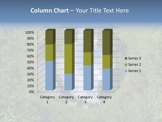 Environmental Aerial Forest PowerPoint Template