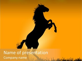 Farm Ranch Tail PowerPoint Template